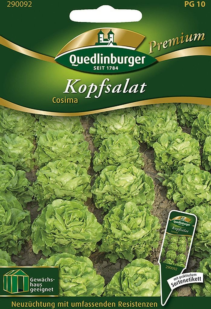 Quedlinburger Kopfsalat Cosima - Premium Gemüsesamen