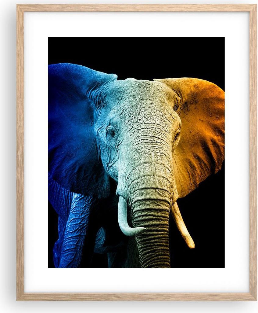 Gerahmtes Poster - Rahmen in heller Eiche - Bunt Elefant Fotografie - 40x50 cm - Wand Bild - Wanddeko - Wandbilder - Kunstposter - Wandposter - Bil...