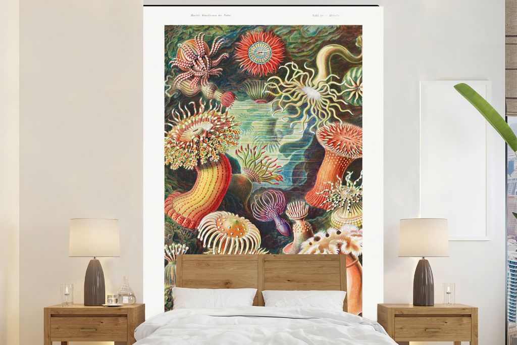 MuchoWow Fototapete für Wohnzimmer oder Schlafzimmer Wandtapete Vinyl Motivtapete Ernst Haeckel - Anemone - Retro - Natur - Pflanzen - Meer - 16...