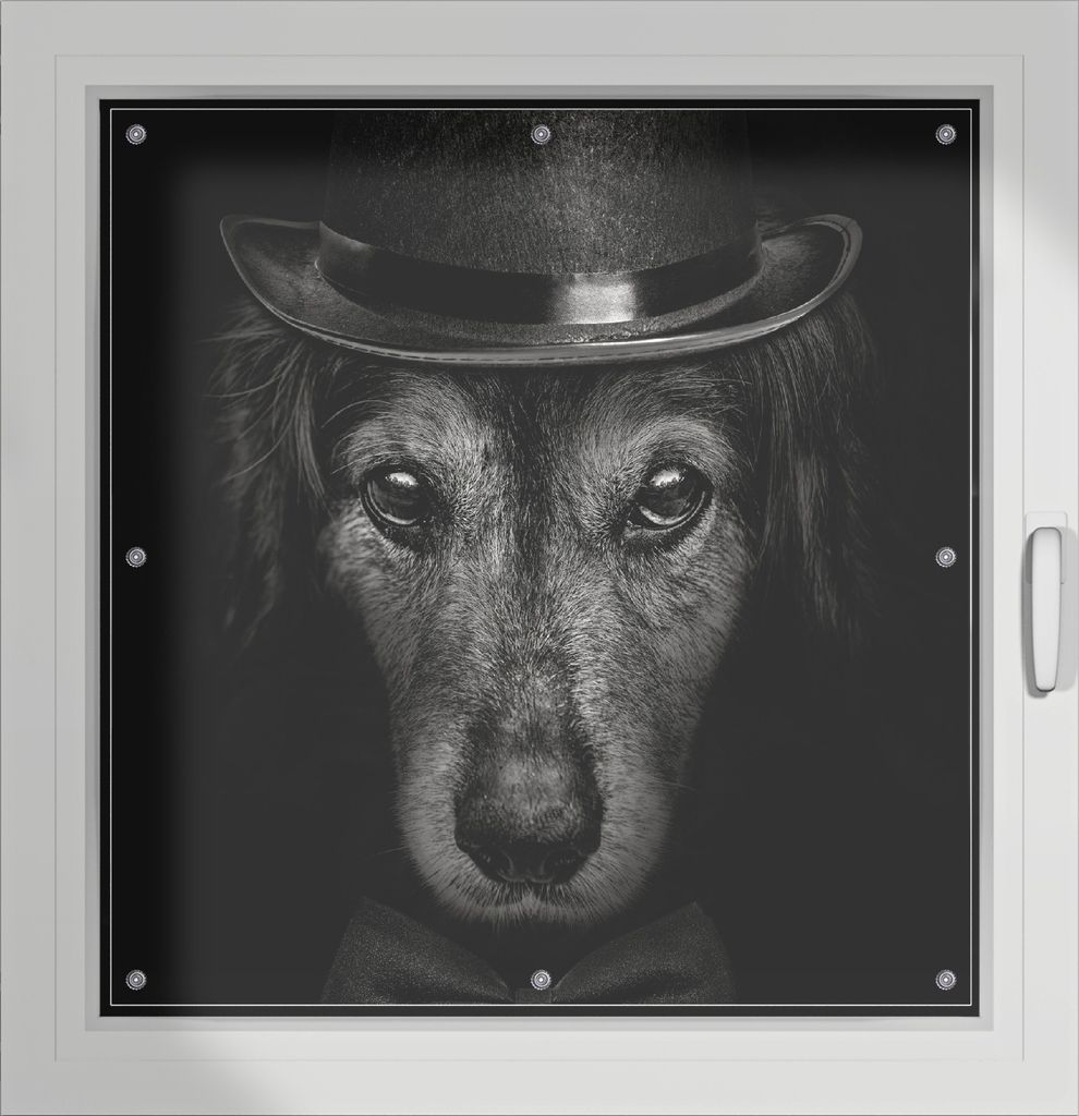 Wallario Lichtschutzbild, Dekorativer Sichtschutz Sonnenschutz 96 x 93 cm mit Motiv: Eleganter Hund mit Zylinder in schwarz-weiß - Verdunklung ohn...