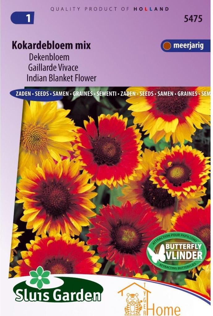 Cockade Flower Mix Seeds - Züchten Sie bunte Deckenblumen für Gartendekoration und Rabatten