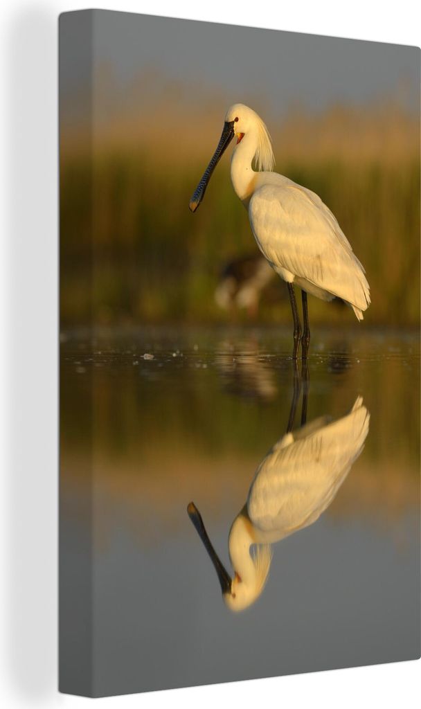 OneMillionCanvasses - Leinwandbilder - 90x140 cm, Eine Spiegelung eines Löfflers im ruhigen Wasser, Wandbilder Kunstdruck Wanddekoration - Foto ...
