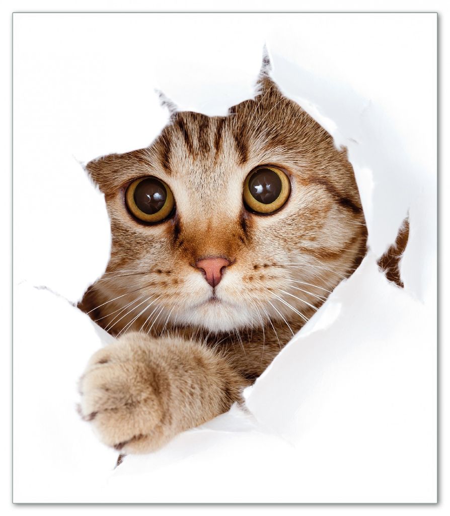 Wallario Herdabdeckplatte aus Glas, Größe 52 x 60 cm 1-teilig, Motiv Katze mit Blick nach vorn