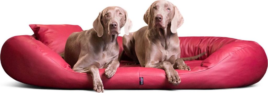 tierlando Orthopädisches Hundebett SAMMY | Pflegeleichtes Kunstleder | L-XXXXL - Größe: 140x105cm | Farbe: 04 Dunkelrot