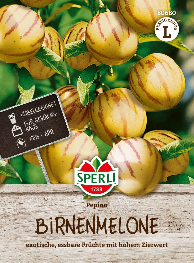SPERLI Birnenmelonensamen Pepino Solanum muricatum 10 Produktbild 
