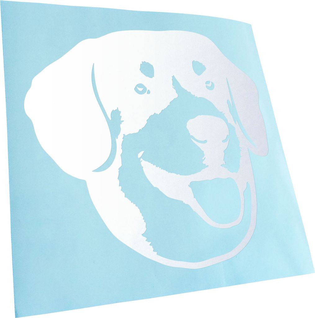 Kiwistar - Autoaufkleber - English bucher mountain dog - Gold - 50x45cm - Aufkleber für Auto, Laptop, Fahrrad, LKW, Motorrad mehrfarbig JDM Decal ...