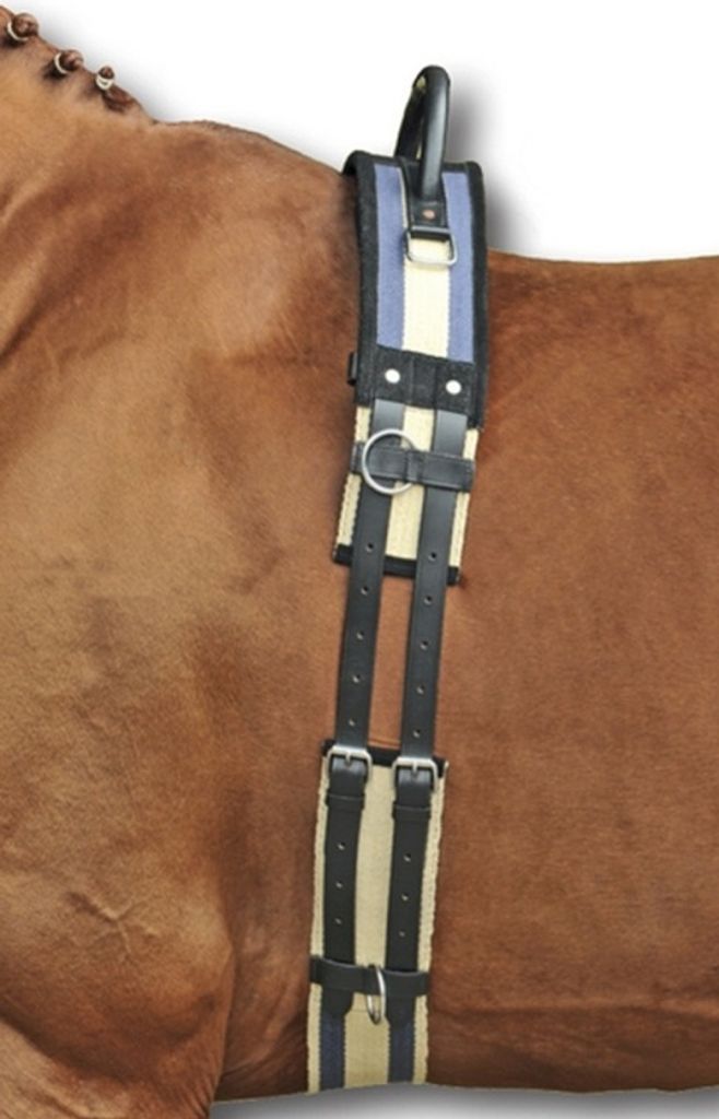 Longiergurt mit Haltegriff, dunkelblau/beige, Produktbild 