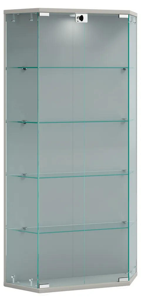Gagnez de la Place avec cette Vitrine Murale Argentée à 2 Portes