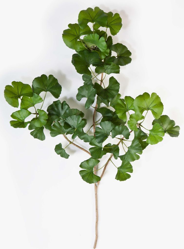 artplants.de Künstlicher Ginkgo Zweig BAO, schwer brennbar, 60cm - Kunststoff Zweig