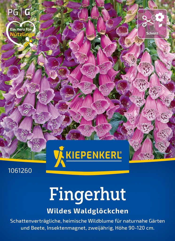 Artikelbild 2 von 'Fingerhut Wildes Waldglöckchen' aus der Kategorie Fingerhutsamen