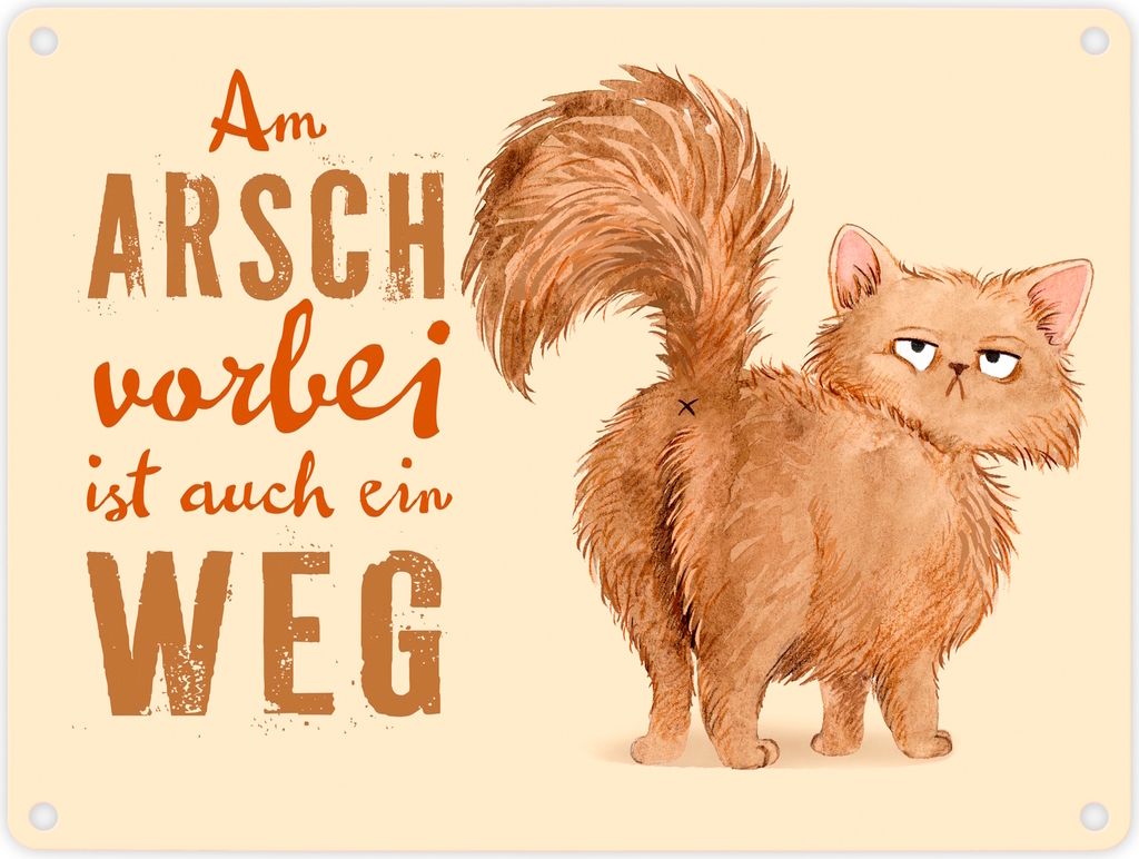 Katze Metallschild in 15x20 cm mit Spruch Am Arsch vorbei ist auch ein Weg