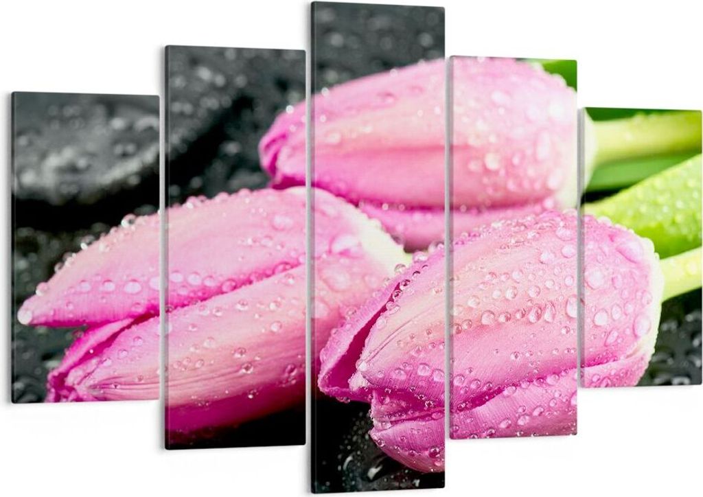 Bild auf Leinwand - Leinwandbild - Tulpen Tau Steine Pflanze - 150x100cm - Wand Bild - Wanddeko - Leinwanddruck - Bilder - Kunstdruck - Wanddekorat...