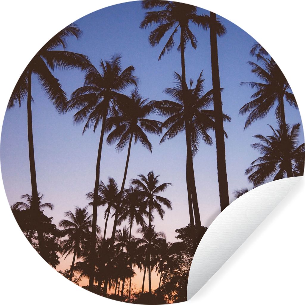 MuchoWow Runde Wandtattoo - Wandsticker Tapete Aufkleber Palme - Tropisch - Sommer - Himmel Ø 80 cm Selbstklebend und Repositionierbar - Wandauf...