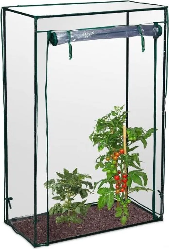 Sistema Idroponico Serra Pomodoro: Alta Resa e Risparmio Idrico