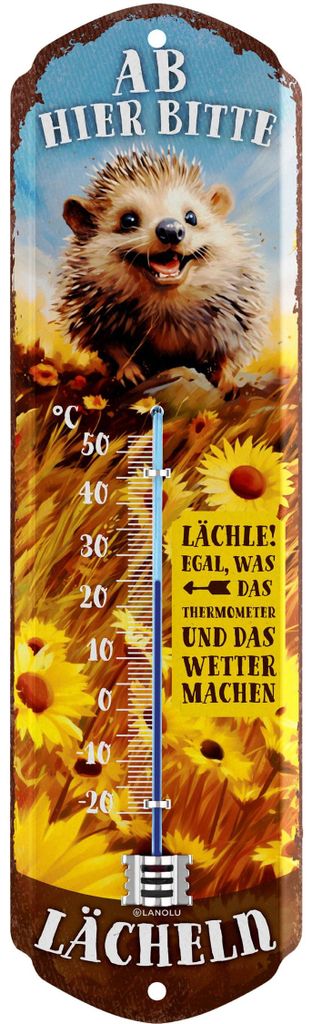 Thermometer Ab hier lächeln, Igel-Deko, Schild Garten Produktbild 