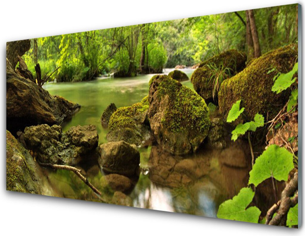 Küchenrückwand aus Glas 100x50cm Spritzschutz Felsen See Natur