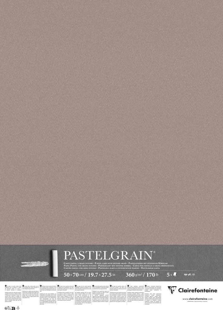 Clairefontaine PastelGrain 50x70cm 5 Bogen 360g - Dunkelgrau 976065C