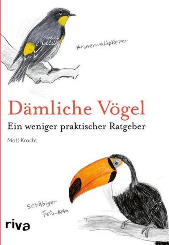 Jeu de cartes Dämliche Vögel original pour enfants et adultes
