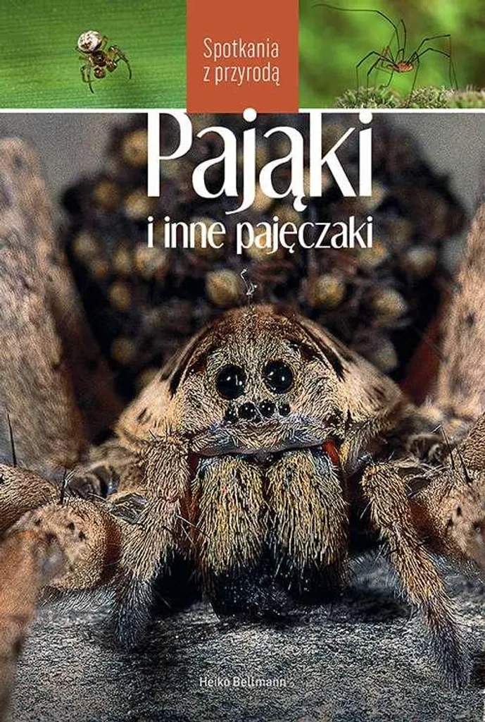 Beau livre Les araignées - Collection Rencontres avec la nature illustré