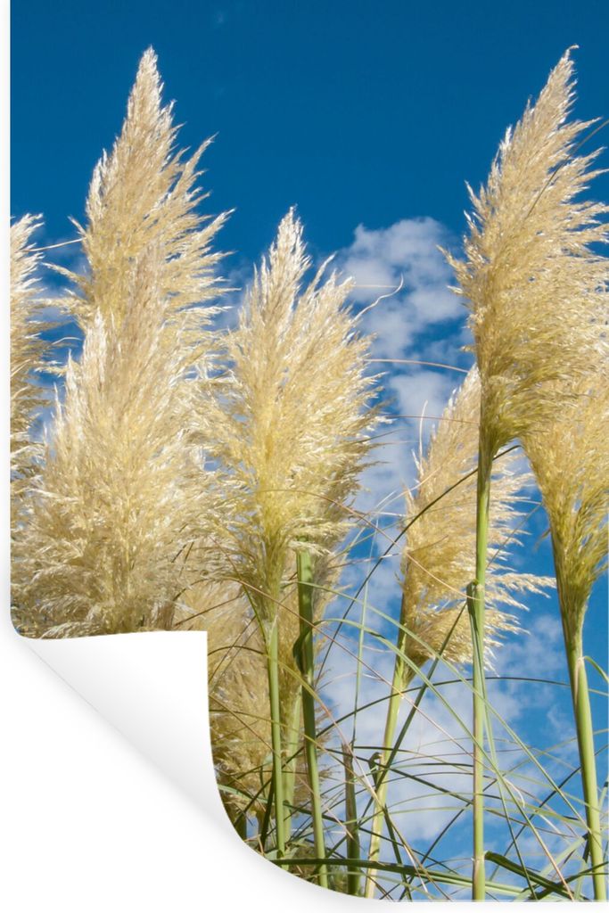 MuchoWow Wandtattoo Wandsticker Wandaufkleber Pampasgras - Pflanze - Natur 20x30 cm Selbstklebend und Repositionierbar - Sticker - Dekorfolie