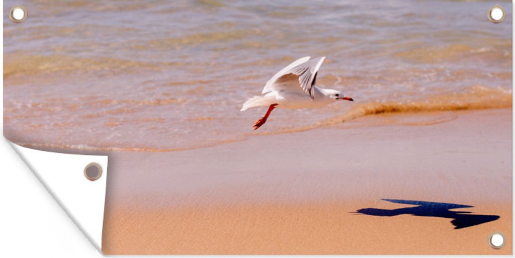 MuchoWow 80x40 cm Outdoor-Poster Gartendeko Sichtschutz Garten Poster für den Garten Weißkopfmöwe fliegt tief über den Strand