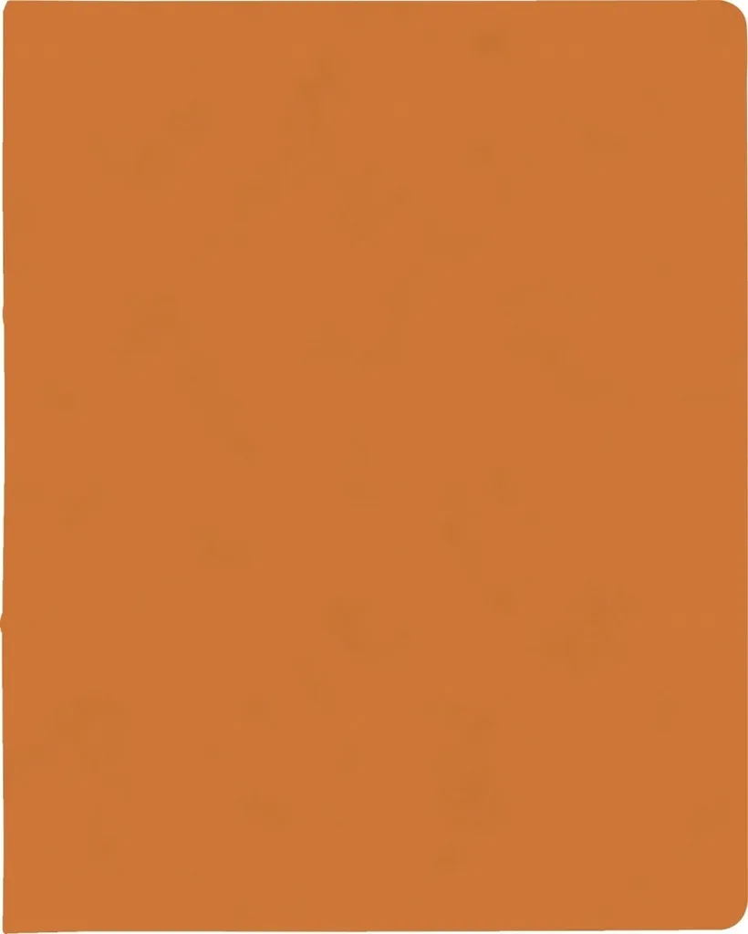 Petit Classeur A4 Orange 15mm BRUNNEN 106550940 à Anneaux Résistants