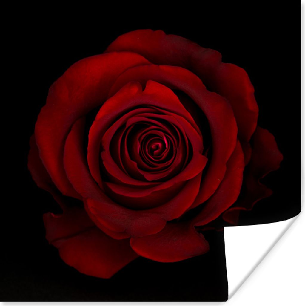 MuchoWow Poster Rosa - Rot - Schwarz 100x100 cm - Babyzimmer
