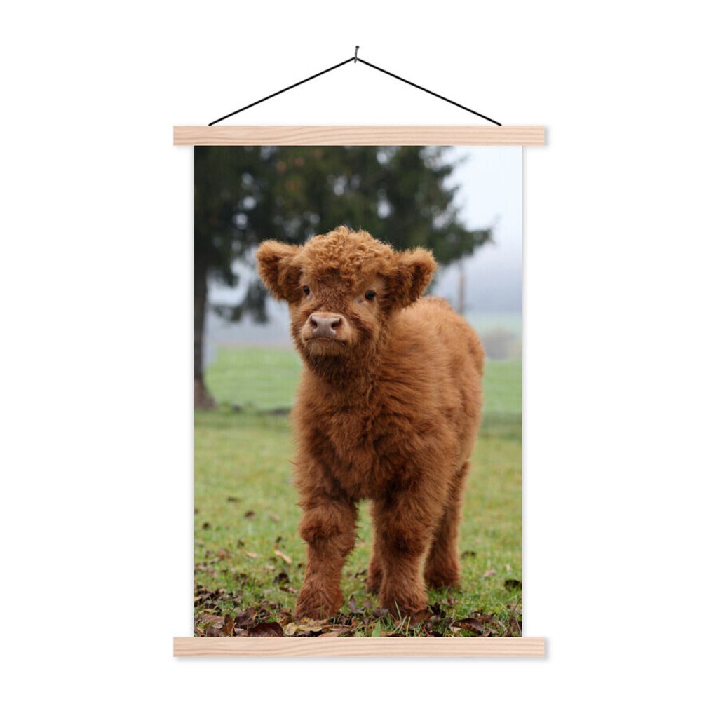 MuchoWow Textilposter Schottische Highlander - Gras - Natur 120x180 cm mit holzfarbenen Rahmen - Textil-Plakat