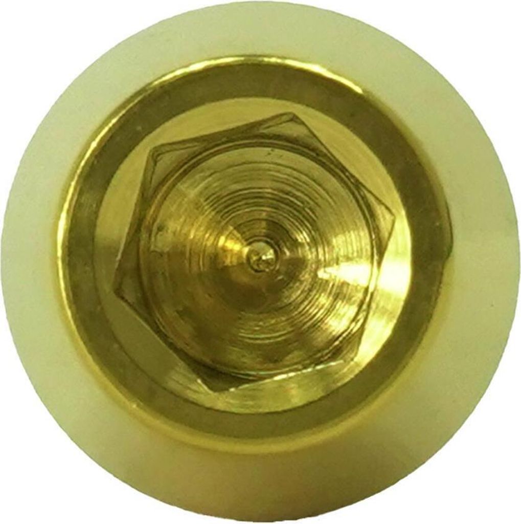 Titan M6x18 Schraube DIN912 konisch gold