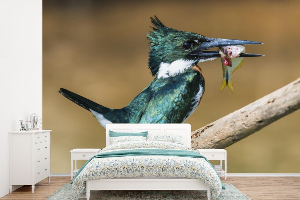 MuchoWow Fototapete für Wohnzimmer oder Schlafzimmer Wandtapete Vinyl Motivtapete Vogel - Fisch - Zweig - 600x400 cm - Vinyltapeten