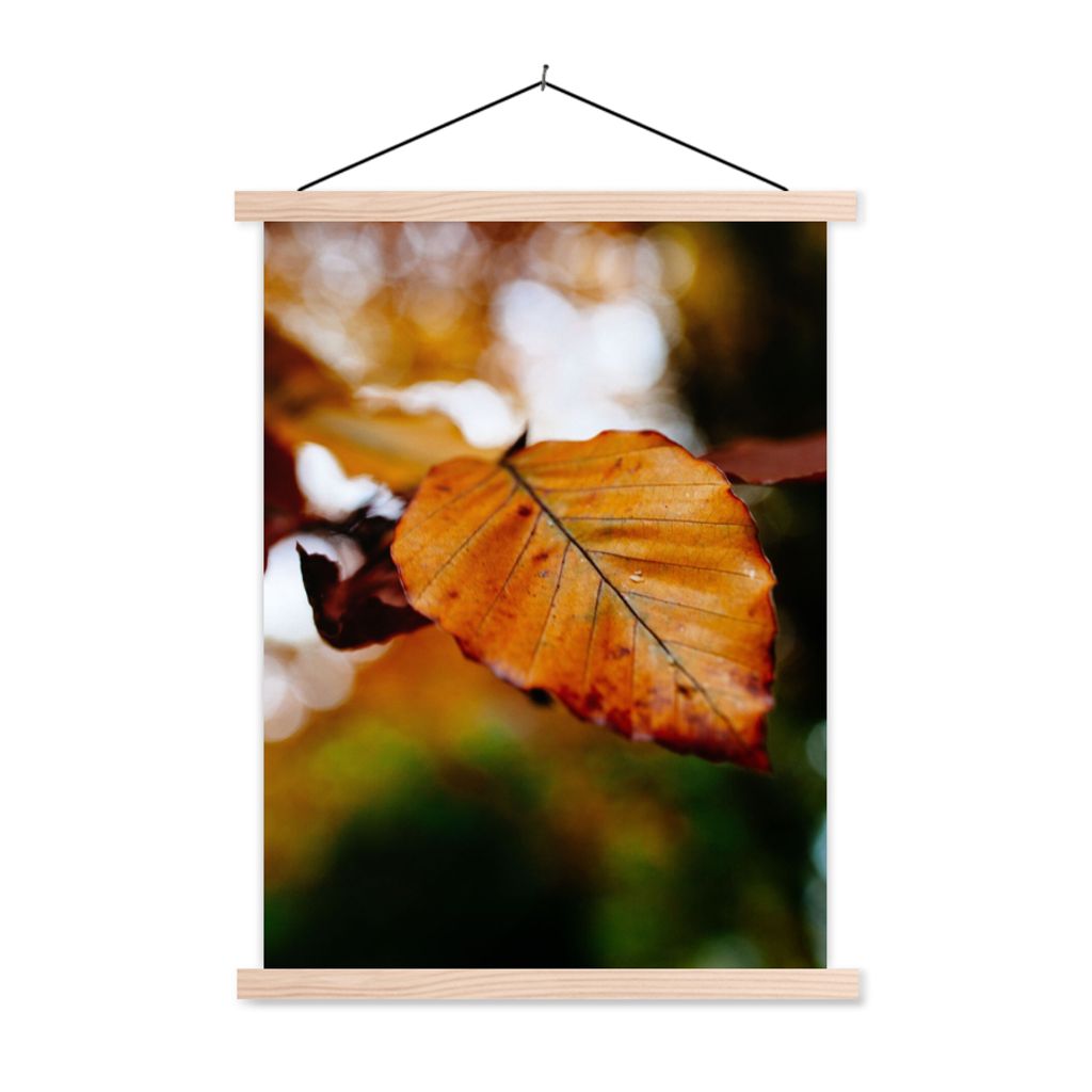 MuchoWow Textilposter Buche - Herbst - Laub 120x160 cm mit holzfarbenen Rahmen - Plakatkarton