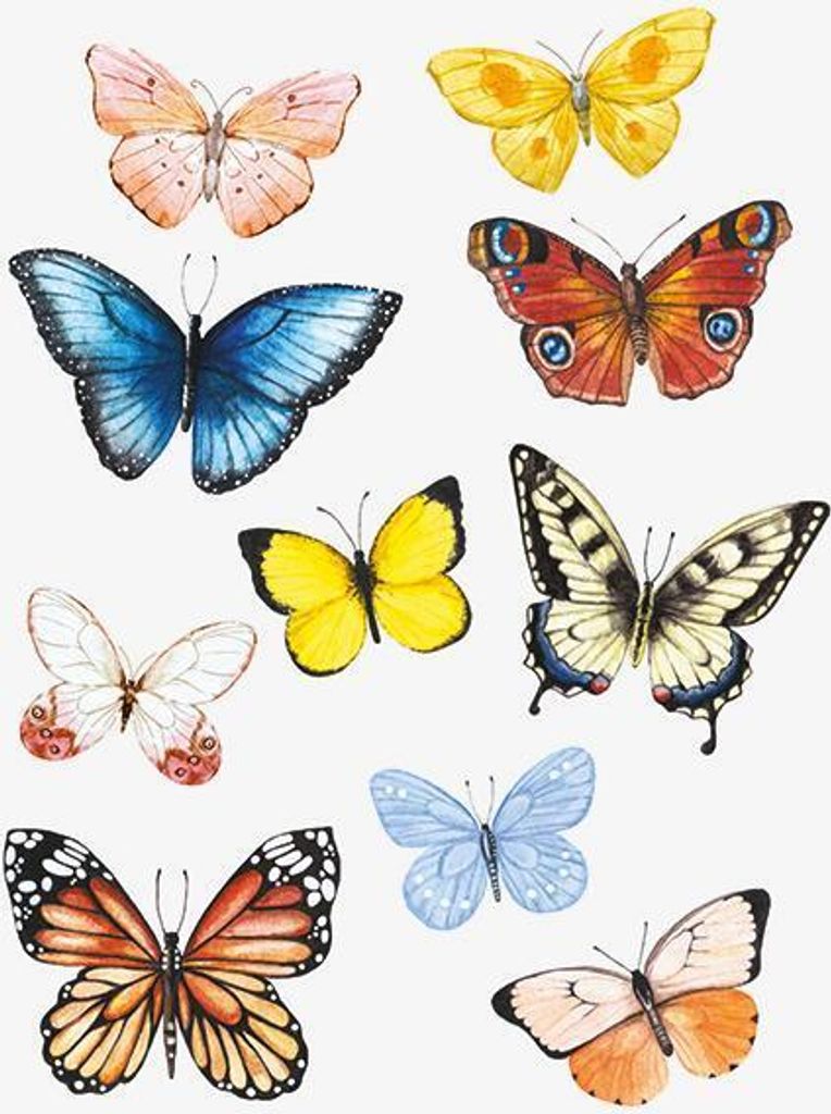 Kindertattoo Schmetterling