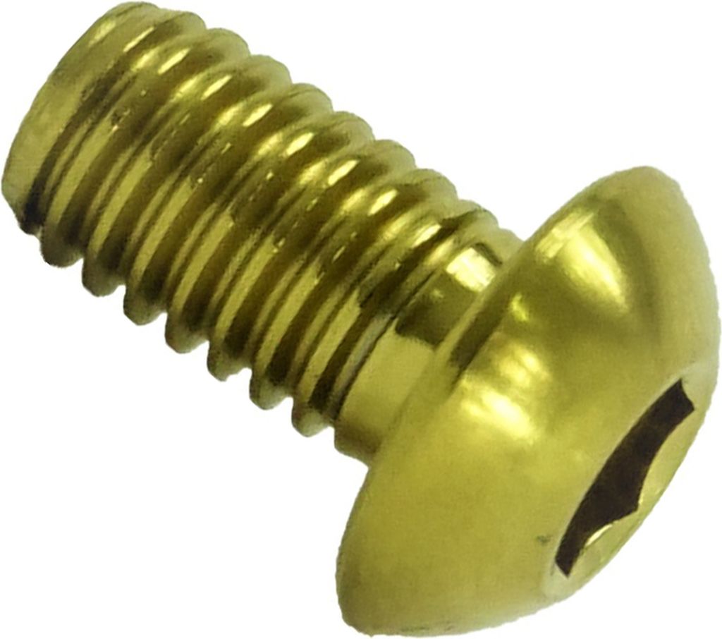 Titan M6x10 Linsenkopfschraube iso 7380 Gold