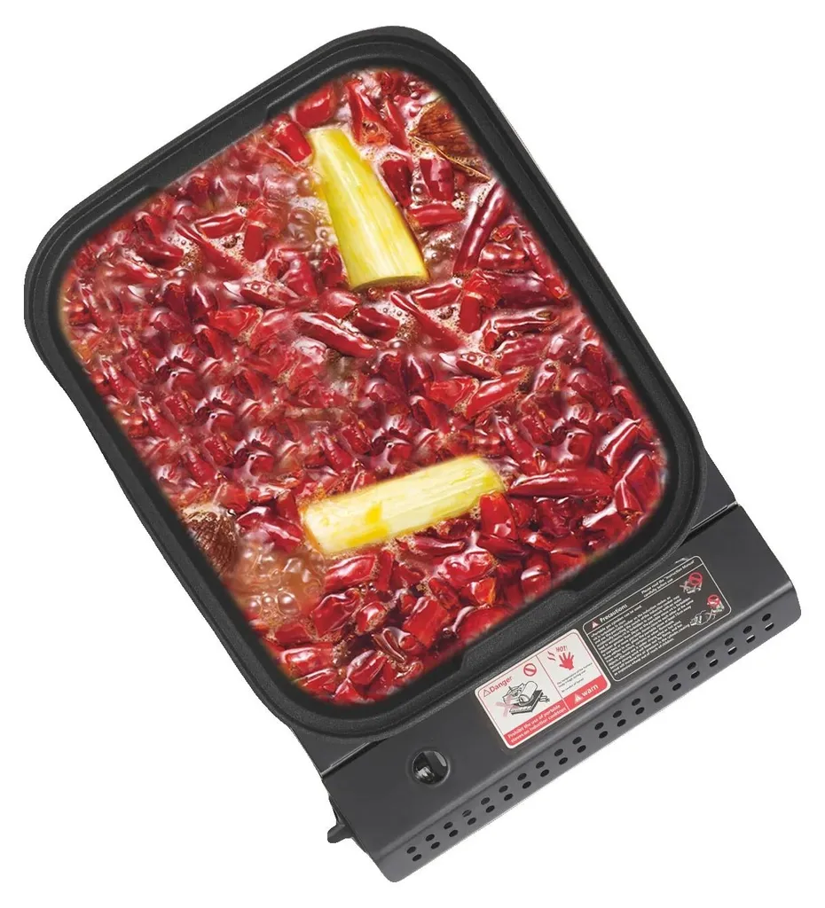 Réchaud à Gaz Portable en Acier Inoxydable pour Barbecue Extérieur
