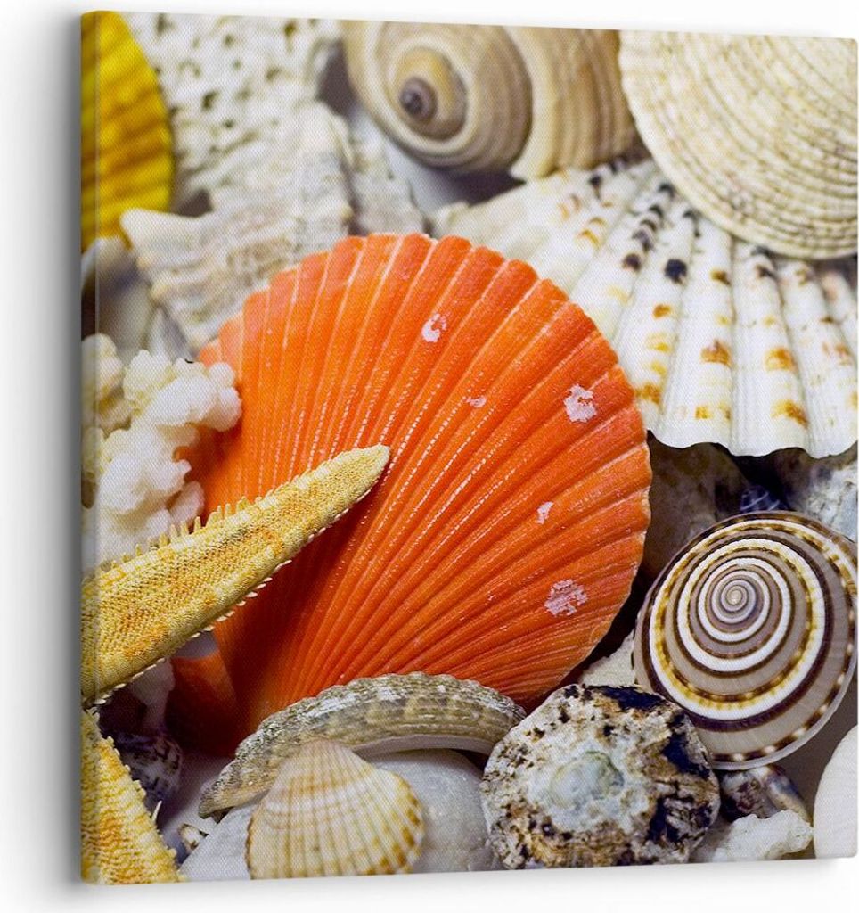 Bild auf Leinwand - Leinwandbild - Seashell Meer Strand Sand - 30x30cm - Wand Bild - Wanddeko - Leinwanddruck - Bilder - Kunstdruck - Wanddekoratio...