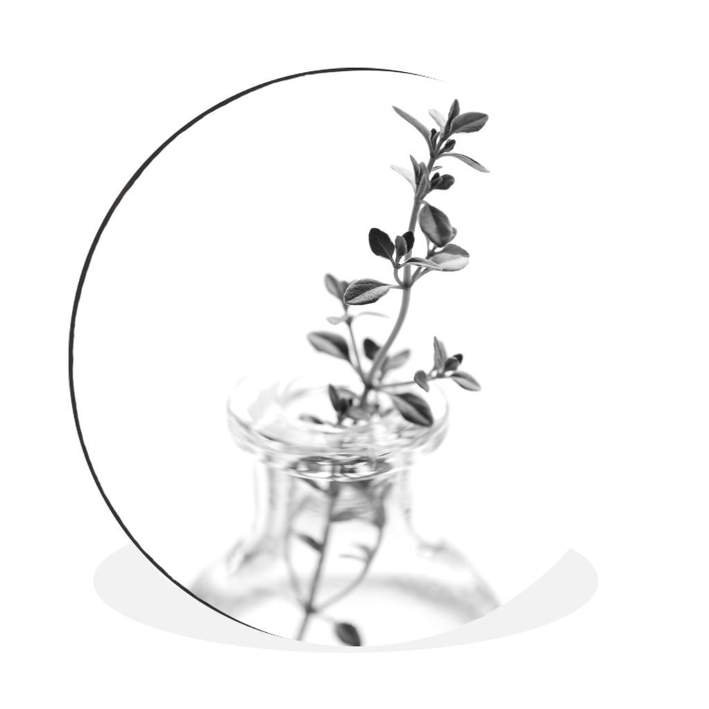 MuchoWow Aluminium Wandkreis Oregano-Zweig in einer transparenten Vase vor einem einfachen Hintergrund - schwarz und weiß Ø 90 cm Wanddeko Mode...