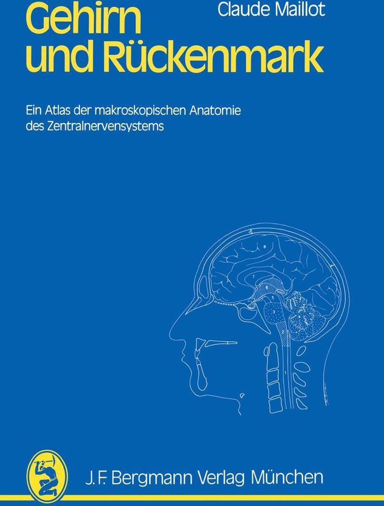 Gehirn und Rückenmark