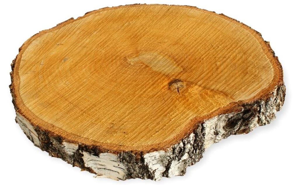 Rondelles d'arbre 1 pc. Bois de décoration Rondelle de bois Image du produit 