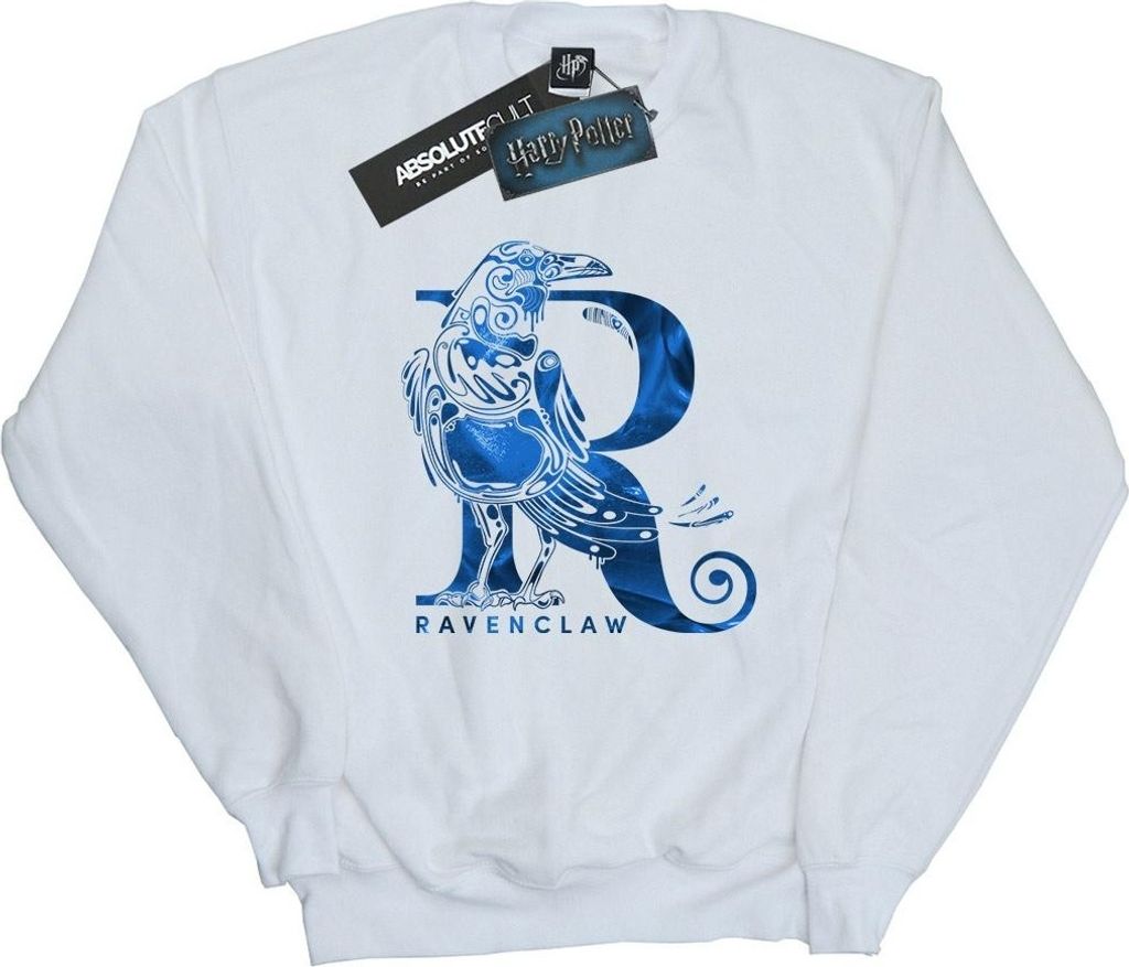 Harry Potter - "Ravenclaw" Sweatshirt für Herren BI27919 (L) (Weiß)