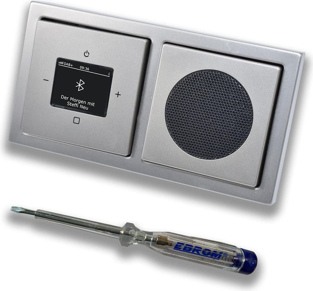 Busch Jäger DAB+ Unterputz Bluetooth (in and out) Radio 8217U-101 PUR Edelstahl, Komplett-Set 8217 U – 101 im 2-fach Rahmen + Lautsprecher + Abd...