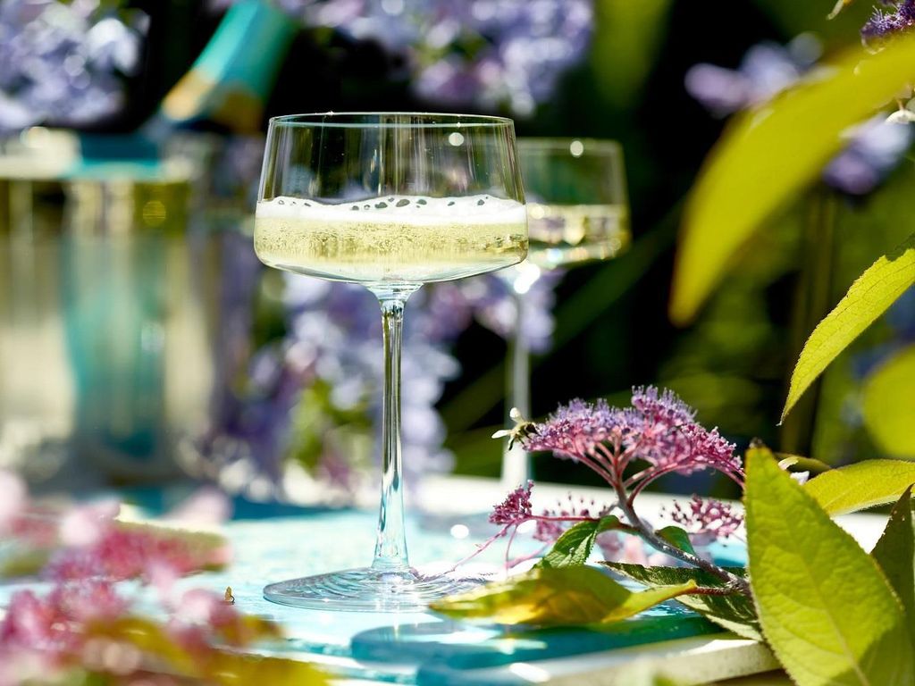 Stölzle Lausitz Power Champagnerschale 6er