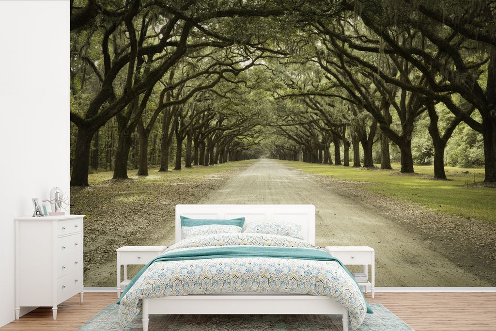 MuchoWow Fototapete für Wohnzimmer oder Schlafzimmer Wandtapete Vinyl Motivtapete Straße unter den Zweigen der Eichen - 360x240 cm - Vinyl-Tapete