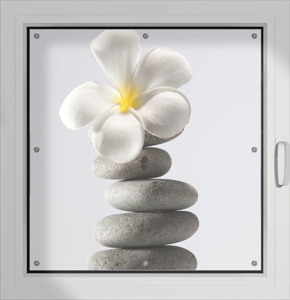 Wallario Lichtschutzbild, Dekorativer Sichtschutz Sonnenschutz 96 x 93 cm mit Motiv: Blume auf gestapelten Steinen - Verdunklung ohne Bohren