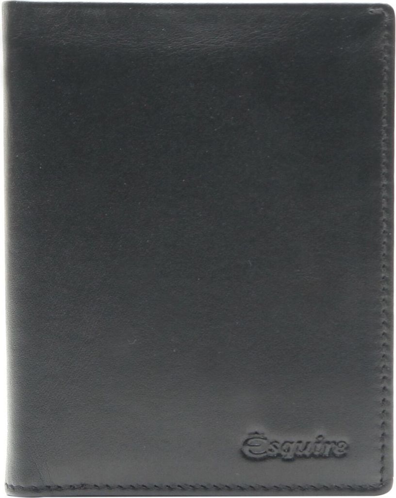 Esquire Ausweisetui New Silk Passport Card Holder Black schwarz