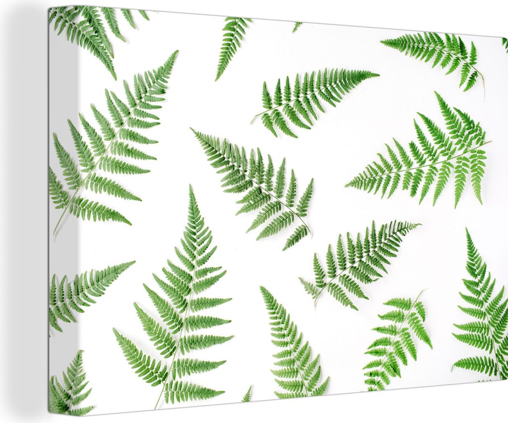 OneMillionCanvasses - Leinwandbilder - 140x90 cm, Tropisch - Farn - Grün, Wandbilder Kunstdruck Wanddekoration