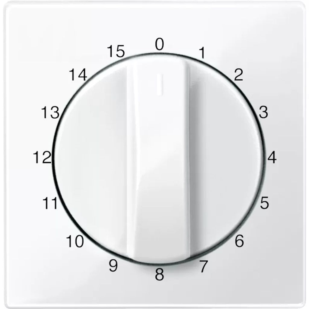 Merten 567419 Zentralplatte für Zeitschalter-Einsatz 15 Produktbild 