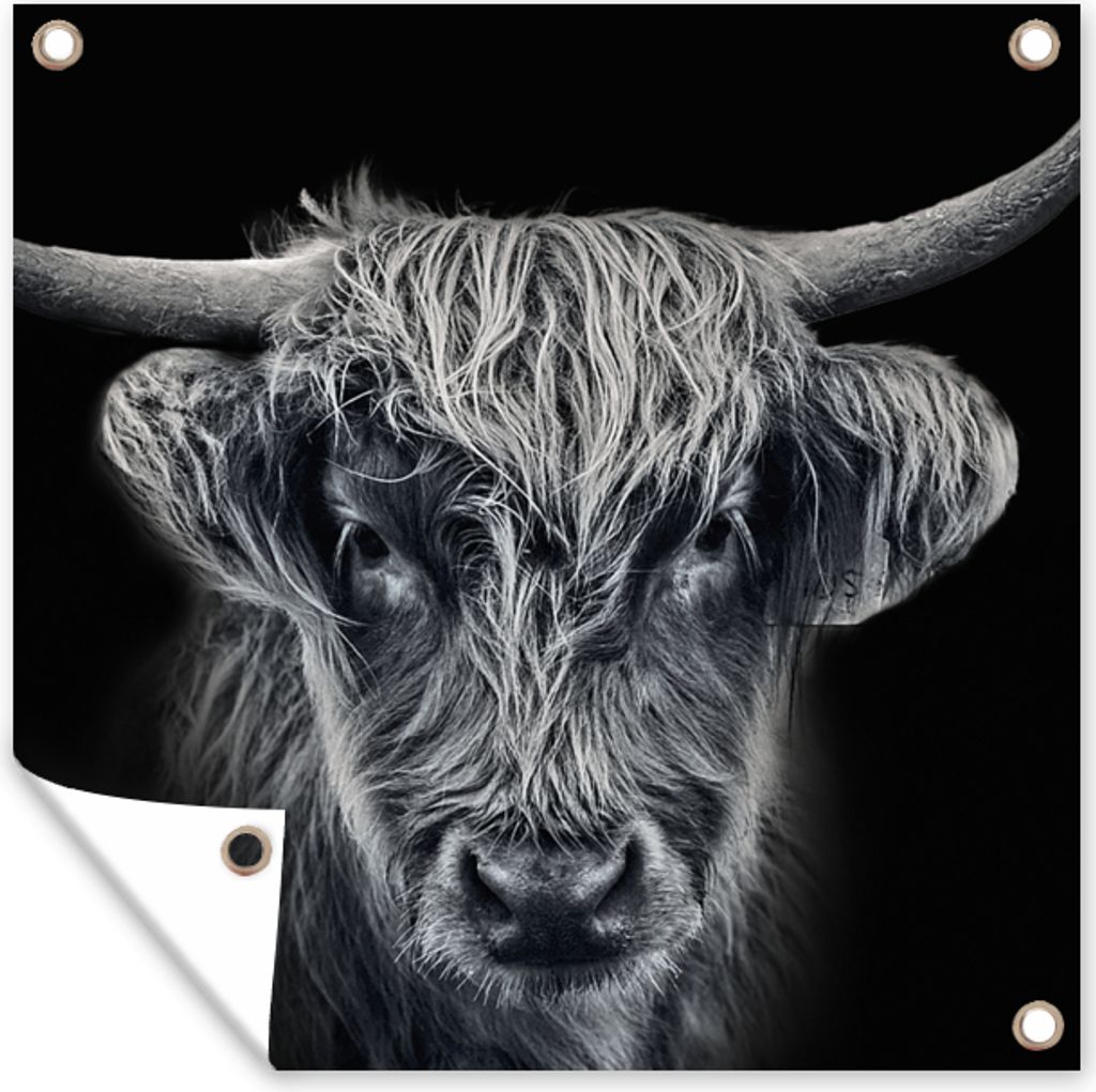 MuchoWow 50x50 cm Outdoor-Poster Gartendeko Sichtschutz Garten Poster für den Garten Schottischer Highlander - Schwarz - Kuh - Tiere