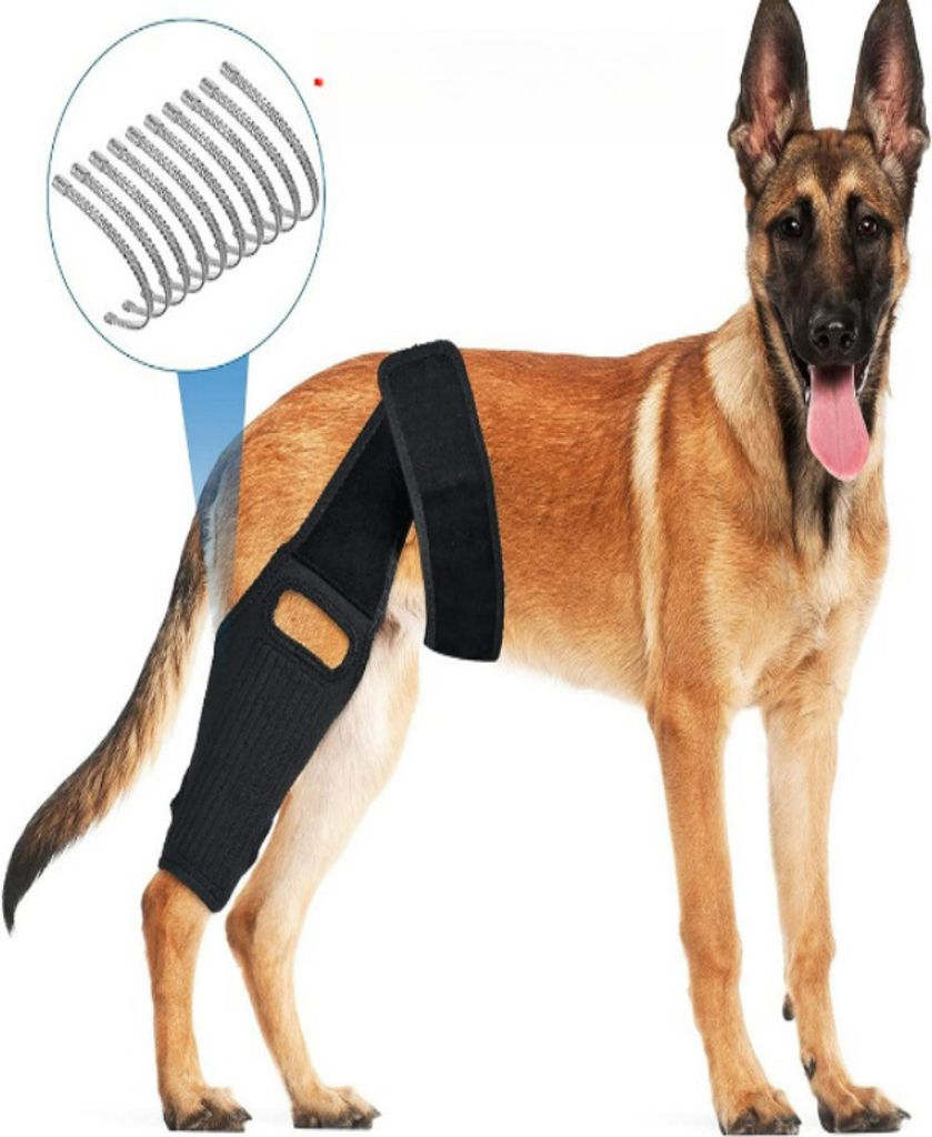 A dog wearing a black knee brace on its hind leg, with a close-up inset of the brace's fasteners.