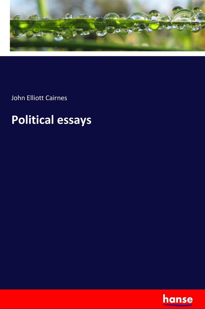 Political essays