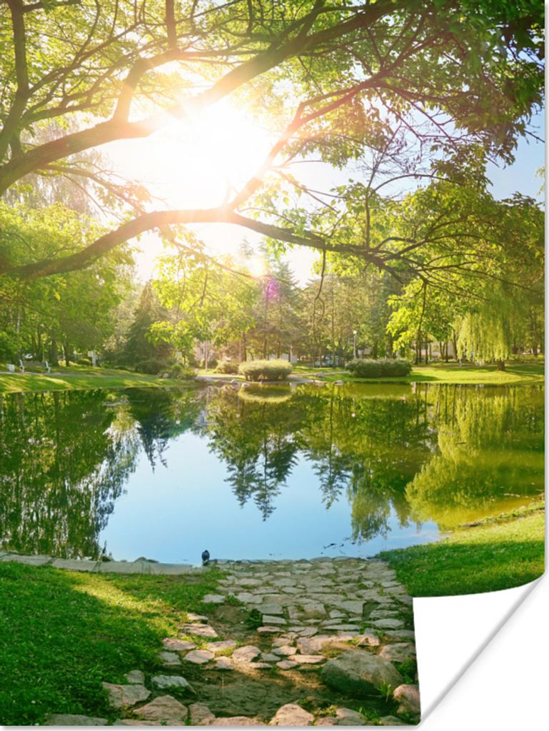 MuchoWow Poster Bäume - See - Sonne - Gras - Natur 90x120 cm - Wohnzimmer